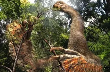 Cientistas descobrem dinossauro gigante com duas garras que viveu na Mongólia e intriga especialistas