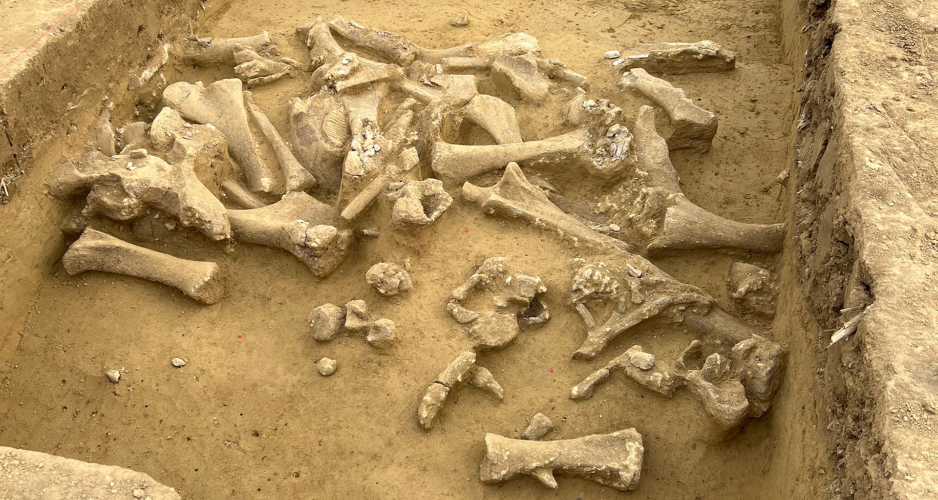 Impressionante! Local de caça ao mamute de 25 mil anos atrás é descoberto