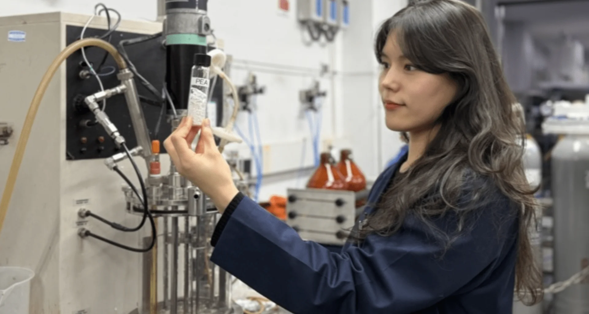 Mato vira plástico ecológico: cientistas criam polímero similar ao nylon a partir de ervas daninhas