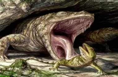 Extinção em massa dizimou anfíbios gigantes há 230 milhões de anos no nosso planeta