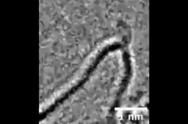 🔬 VEJA: Cientistas filmam reação química em nível atômico pela primeira vez