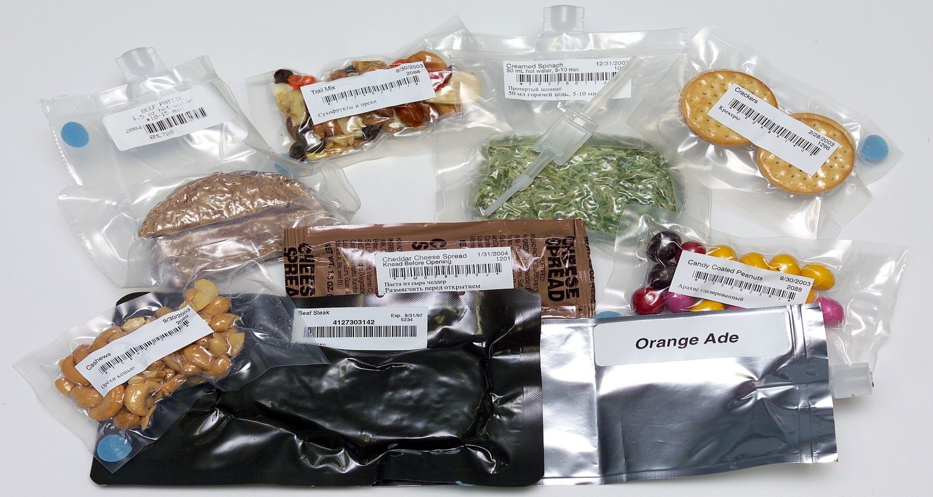 ESA lança biorreator para cultivar bife e batata durante missão espacial