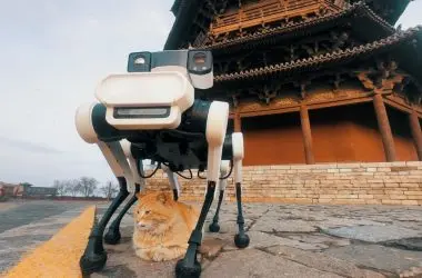 Cão robô com 6 patas e inteligência artificial faz a guarda do templo mais antigo de madeira da China