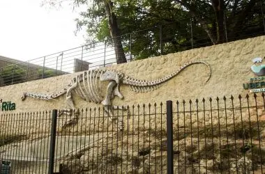 Engenheiros da UFTM criam rota de bike no Geoparque Uberaba para passeios turísticos