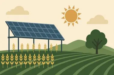 Estudo mostra que plantações podem dividir espaço com painéis solares e beneficiar ambas atividades