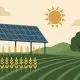 Estudo mostra que plantações podem dividir espaço com painéis solares e beneficiar ambas atividades
