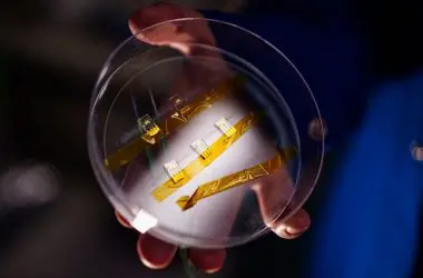 Cientistas criam sensores que detectam toxinas por longos períodos