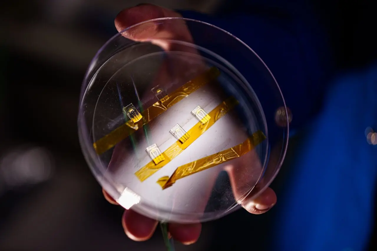Cientistas criam sensores que detectam toxinas por longos períodos