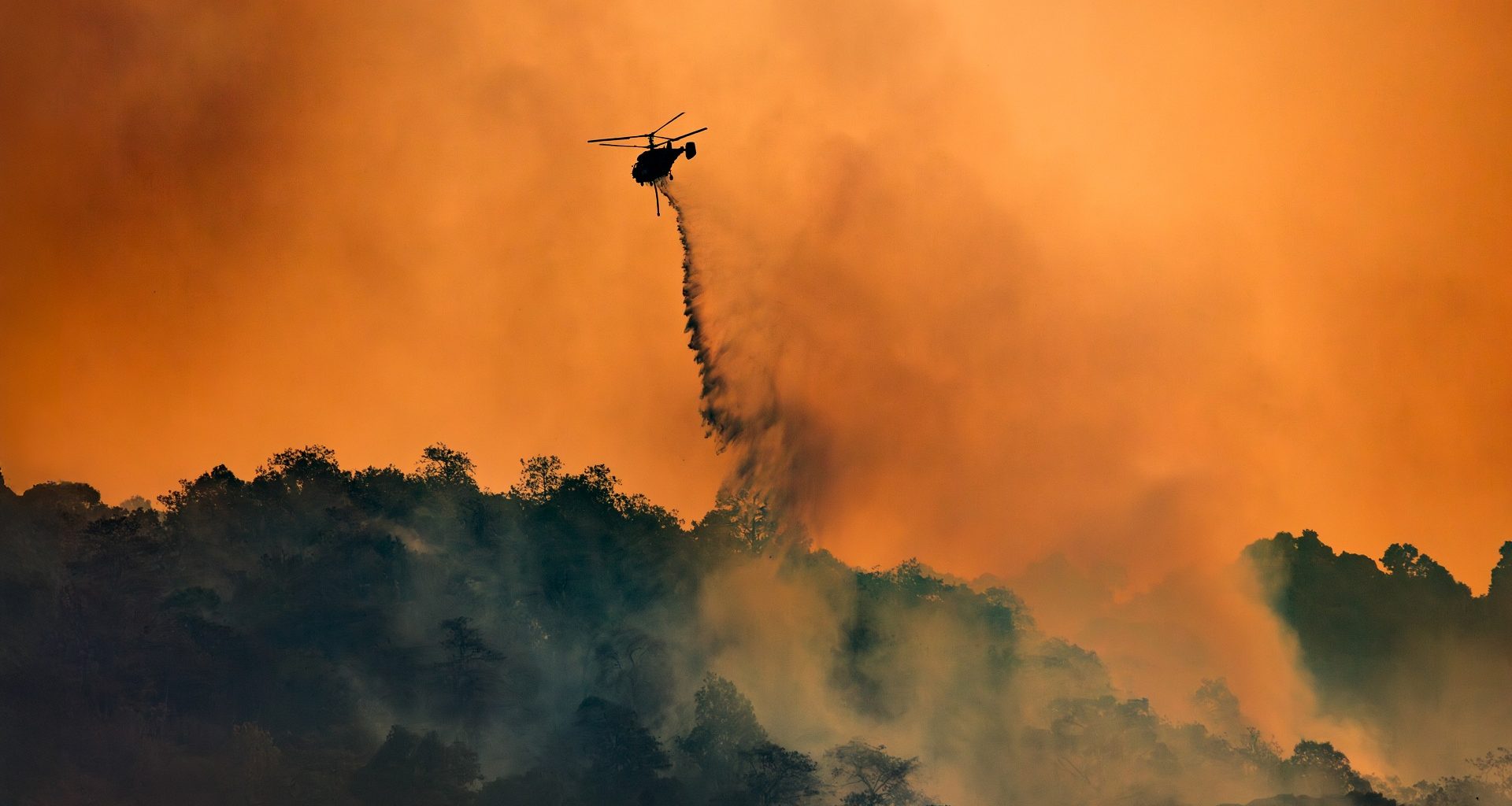 Fumaça de incêndios nos EUA causou 15 mil mortes e prejuízo de R$ 800 bilhões, revela estudo