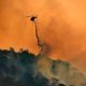 Fumaça de incêndios nos EUA causou 15 mil mortes e prejuízo de R$ 800 bilhões, revela estudo
