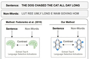 Inteligência Artificial tem partes que funcionam como sistema de linguagem do cérebro humano