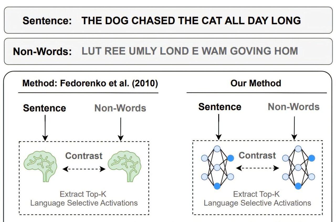 Inteligência Artificial tem partes que funcionam como sistema de linguagem do cérebro humano