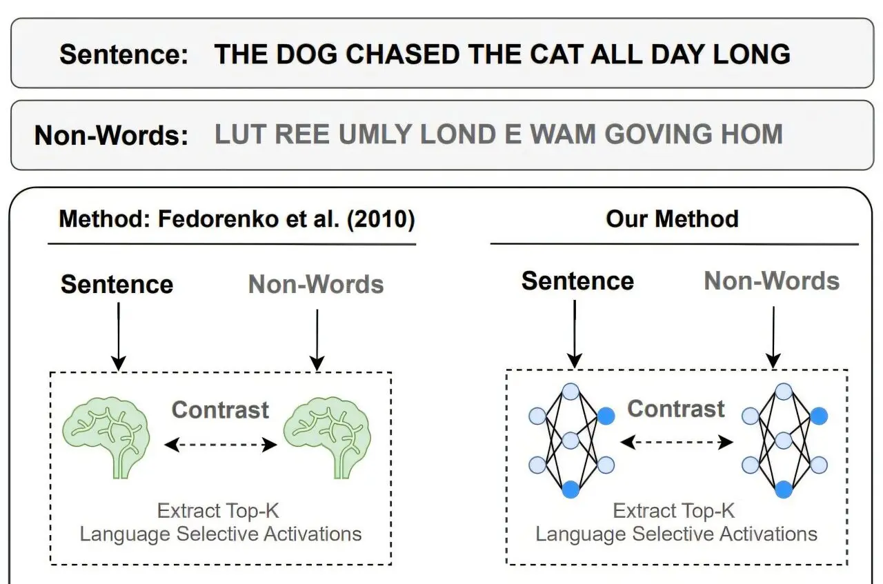 Inteligência Artificial tem partes que funcionam como sistema de linguagem do cérebro humano