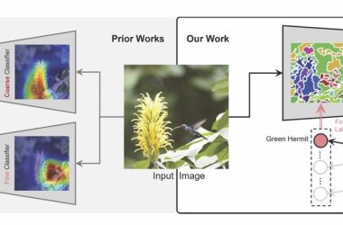 Visão computacional classifica imagens em categorias amplas e específicas, como uma árvore genealógica