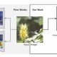 Visão computacional classifica imagens em categorias amplas e específicas, como uma árvore genealógica