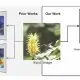 Visão computacional classifica imagens em categorias amplas e específicas, como uma árvore genealógica