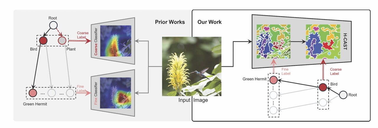 Visão computacional classifica imagens em categorias amplas e específicas, como uma árvore genealógica