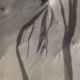 Novo estudo revela: cientistas erraram sobre as misteriosas manchas escuras em Marte