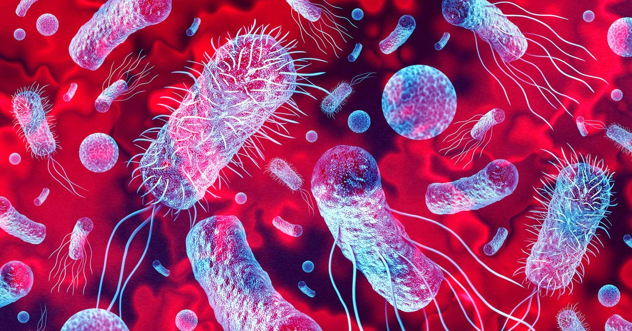 Cientistas encontram novas bactérias na estação espacial chinesa
