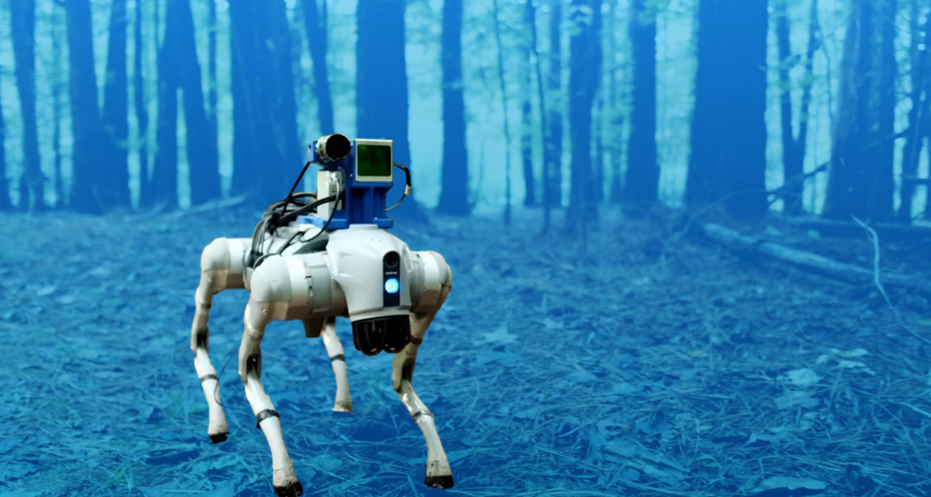 Robô Ganha Capacidade de Navegar com os 5 Sentidos