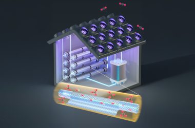 Nova tecnologia brasileira captura 6 vezes mais CO2 e reduz custos em 20% no combate às mudanças climáticas