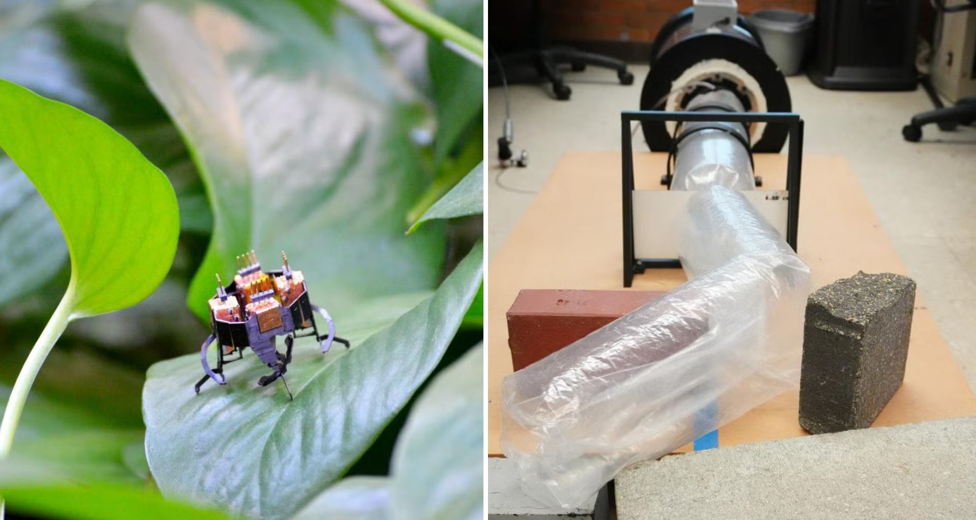 Robôs inspirados em cobras e insetos se unem para fazer o que humanos não conseguem