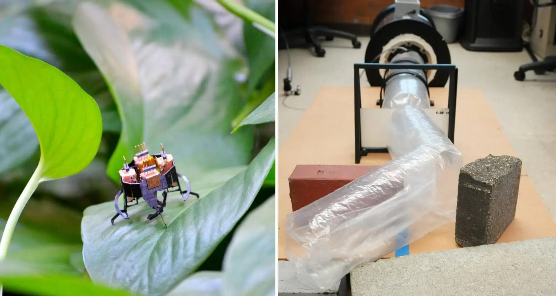 Robôs inspirados em cobras e insetos se unem para fazer o que humanos não conseguem