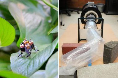 Robôs inspirados em cobras e insetos se unem para fazer o que humanos não conseguem
