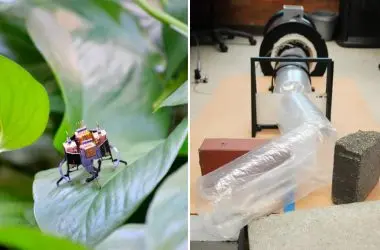 Robôs inspirados em cobras e insetos se unem para fazer o que humanos não conseguem