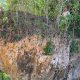 Pedra gigante de 1.300 toneladas foi movida por tsunami antigo e pode ser a maior já encontrada no mundo