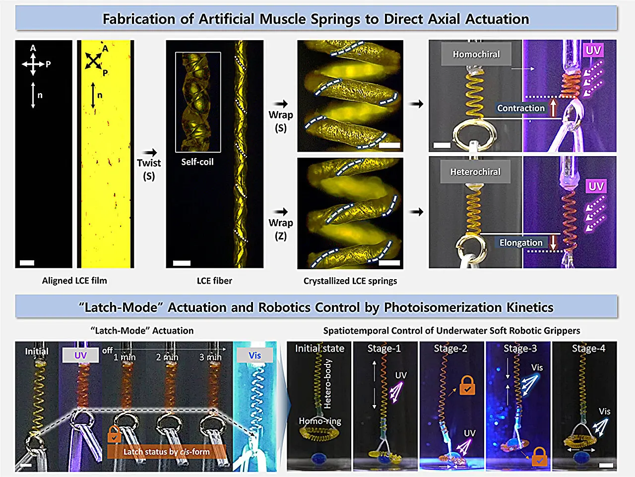 Robôs submarinos superam força muscular humana com tecnologia movida à luz