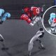 Robôs humanoides mostram golpes de luta antes do primeiro campeonato mundial de boxe robótico