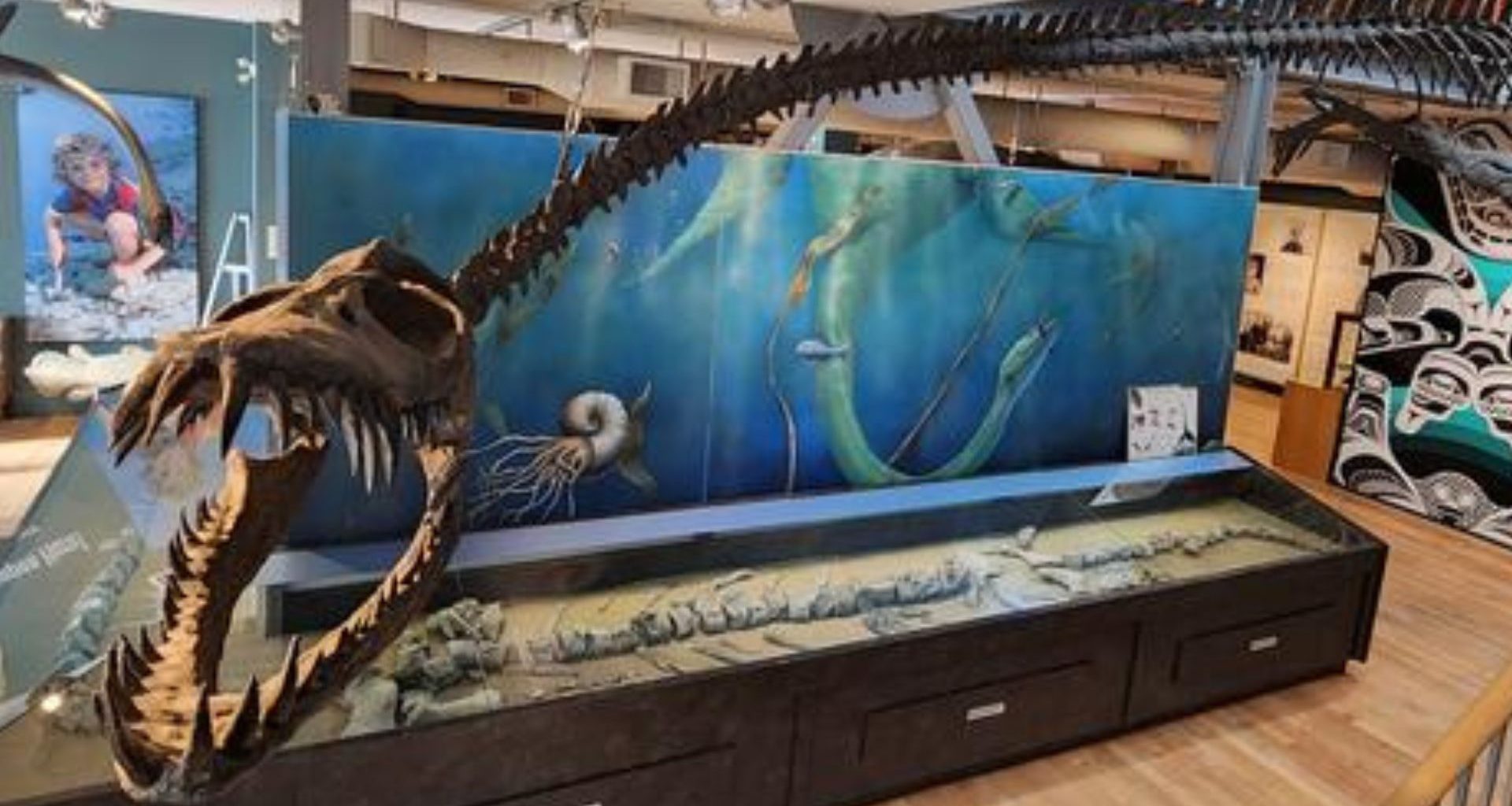 Fóssil de 85 milhões de anos revela monstro gigante que dominou os mares ancestrais