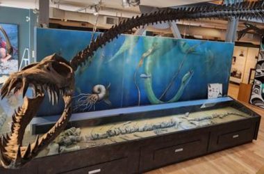 Fóssil de 85 milhões de anos revela monstro gigante que dominou os mares ancestrais
