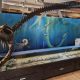Fóssil de 85 milhões de anos revela monstro gigante que dominou os mares ancestrais