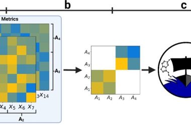 Nova ferramenta separa dados de treino e teste para melhorar avaliação da Inteligência Artificial