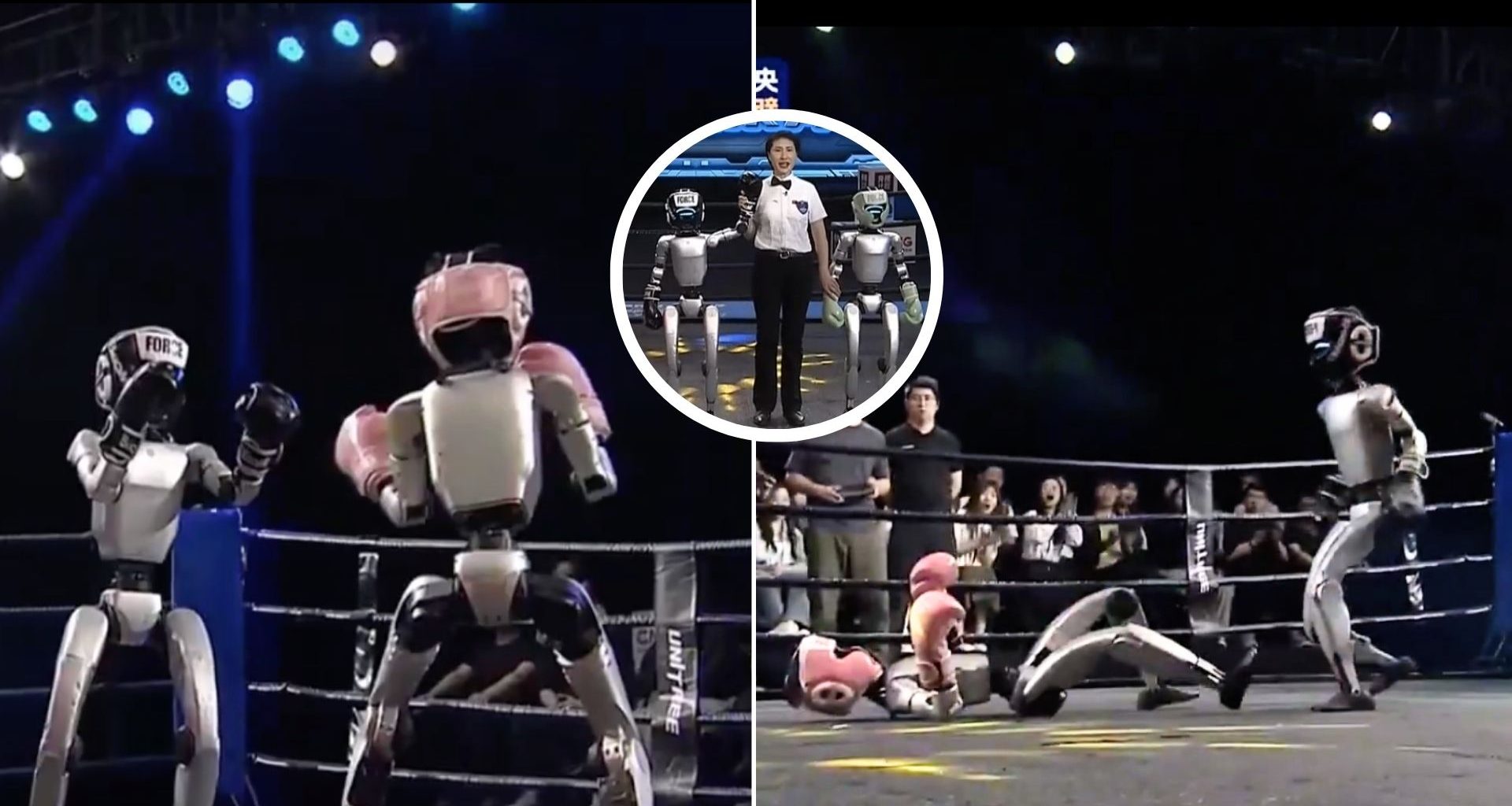 Boxe Robô: Humanóide chinês vence luta com golpes potentes e nocauteia adversário