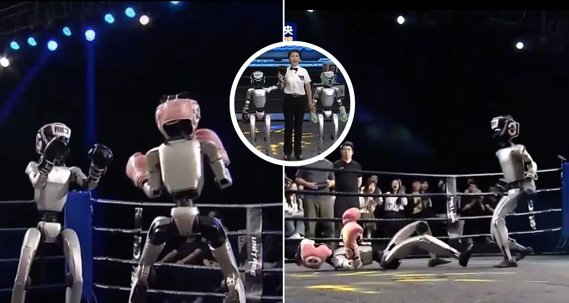 Boxe Robô: Humanóide chinês vence luta com golpes potentes e nocauteia adversário