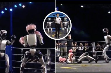 Boxe Robô: Humanóide chinês vence luta com golpes potentes e nocauteia adversário