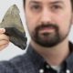 Cardápio secreto do Megalodon: Predador gigante não comia só baleias