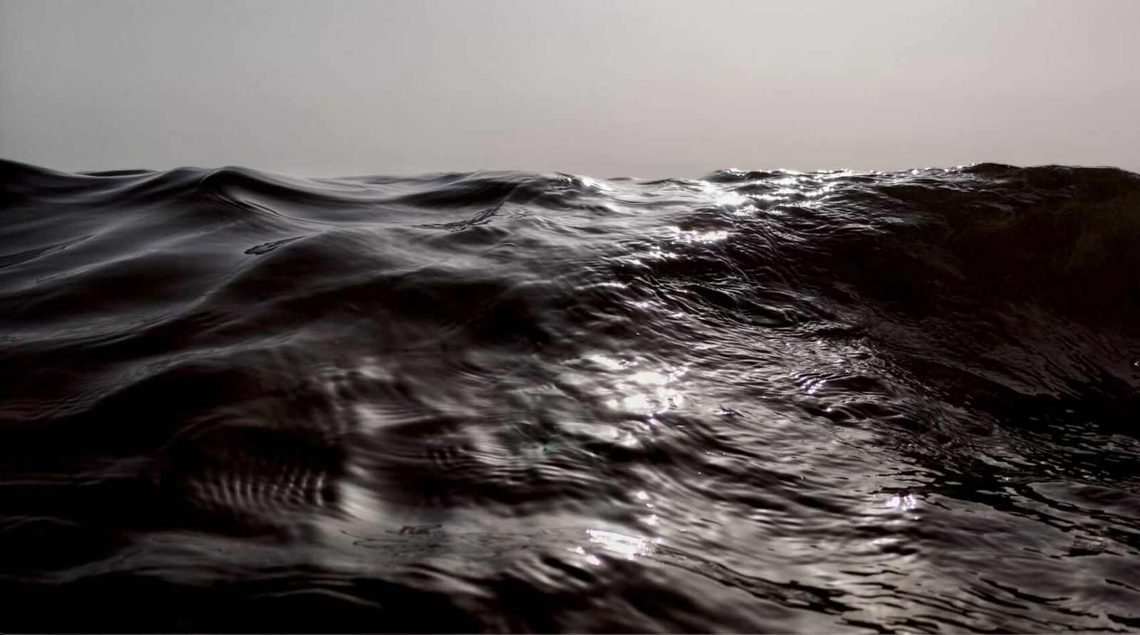 Alerta: Cientistas fazem descoberta sombria nos oceanos e especialistas estão muito preocupados