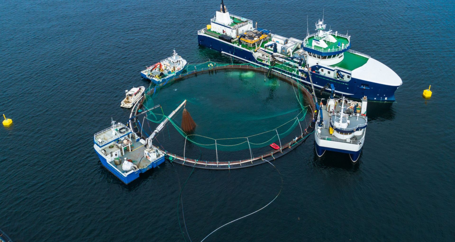 China lança primeiro navio-fazenda de salmão do mundo para aumentar produção do peixe nobre