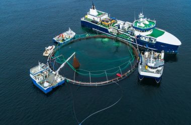 China lança primeiro navio-fazenda de salmão do mundo para aumentar produção do peixe nobre