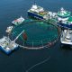 China lança primeiro navio-fazenda de salmão do mundo para aumentar produção do peixe nobre