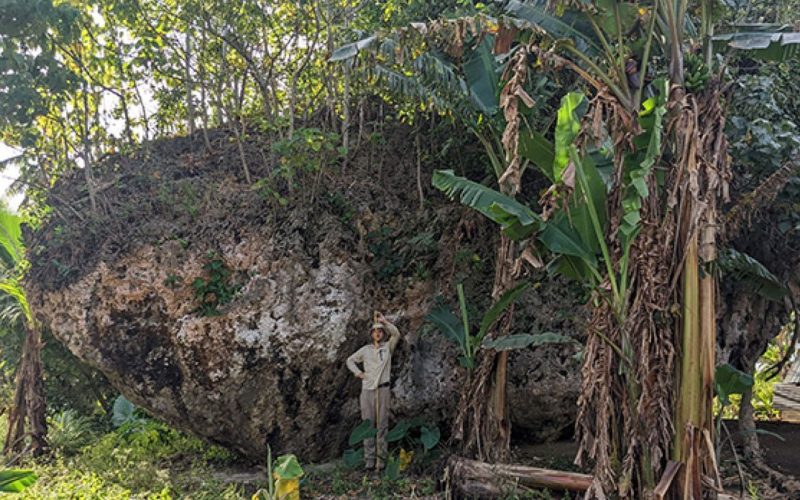 Mistério resolvido: Entenda como pedra gigante surgiu no topo de penhasco em Tonga