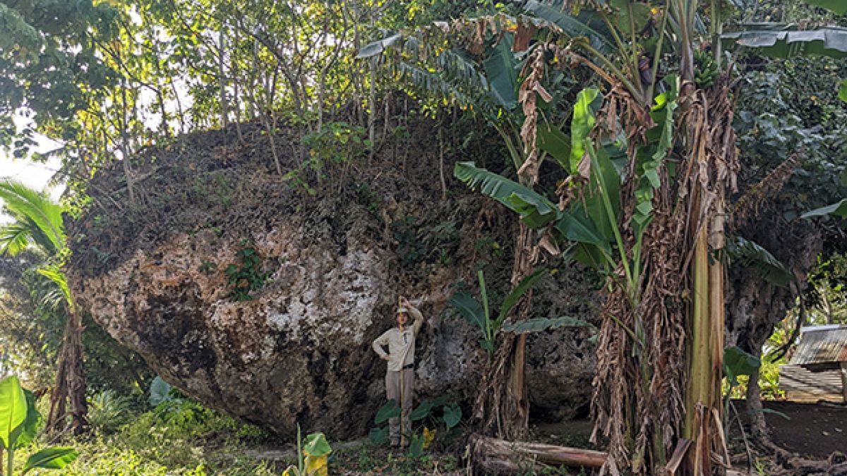 Mistério resolvido: Entenda como pedra gigante surgiu no topo de penhasco em Tonga