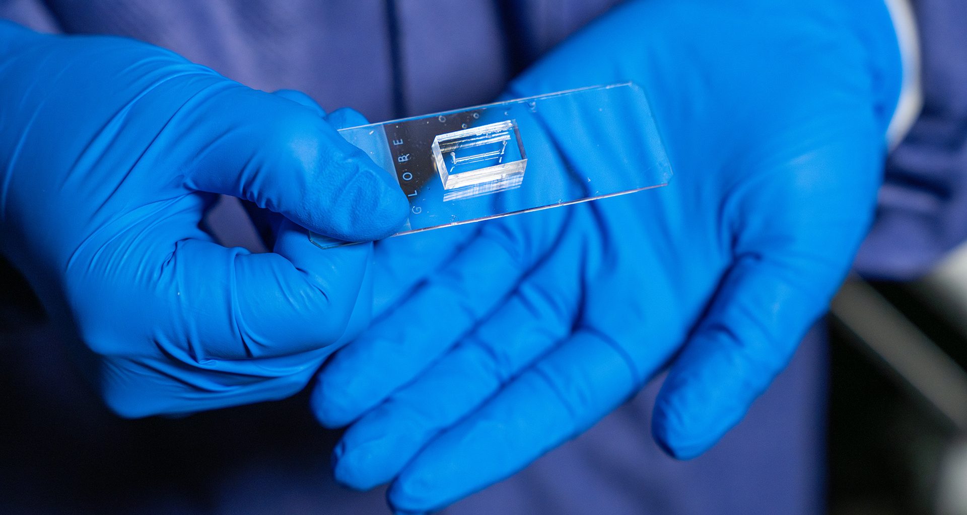 Novo chip revolucionário imita vasos sanguíneos e pode acabar com testes de remédios em animais