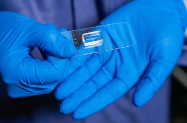 Novo chip revolucionário imita vasos sanguíneos e pode acabar com testes de remédios em animais