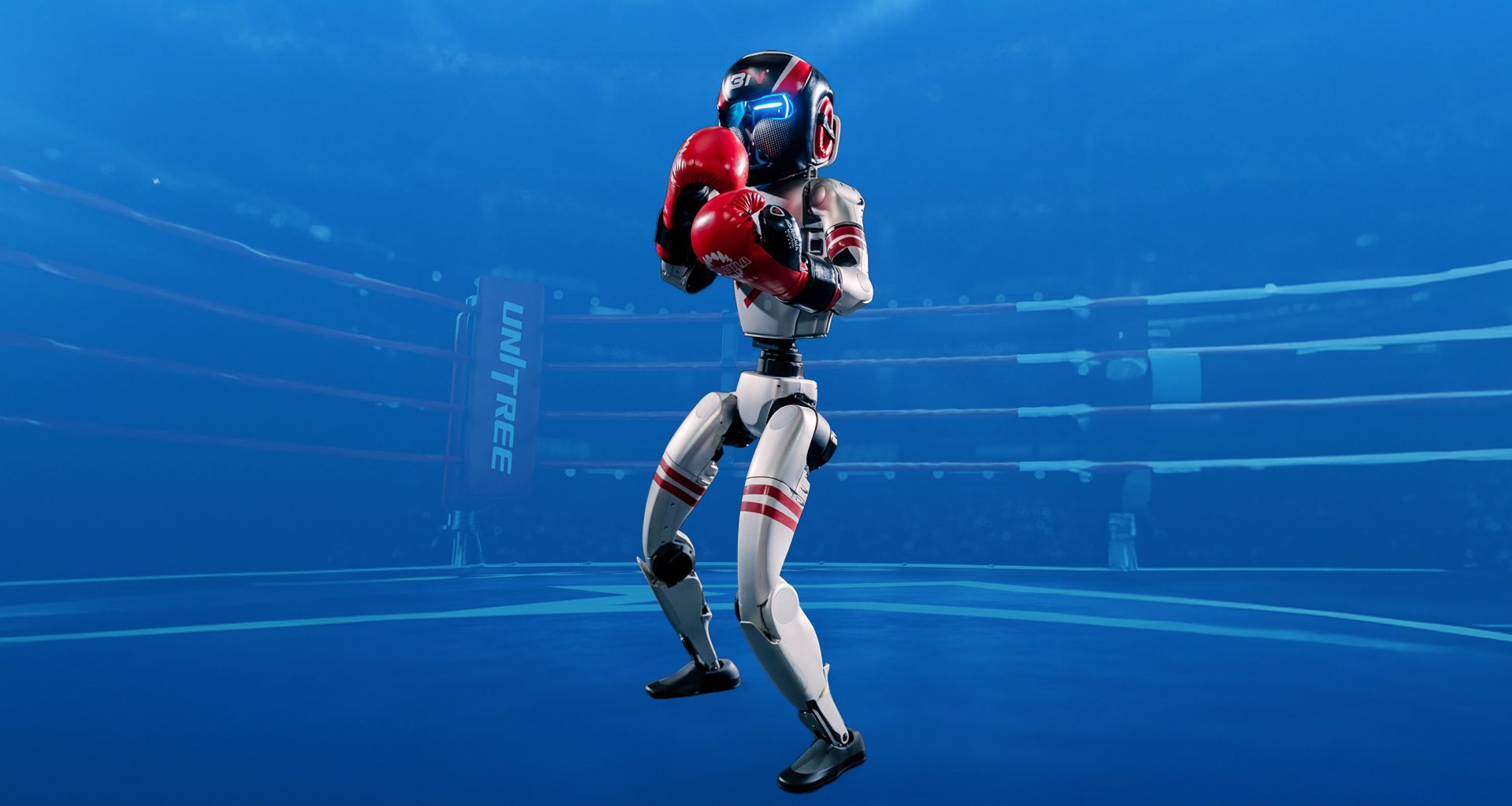 Primeiro Campeonato Mundial de Boxe de Robôs