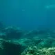 Novo método prevê deslizamentos submarinos e protege plataformas de petróleo no litoral brasileiro